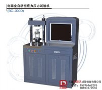 电脑全自动恒应力压力试验机